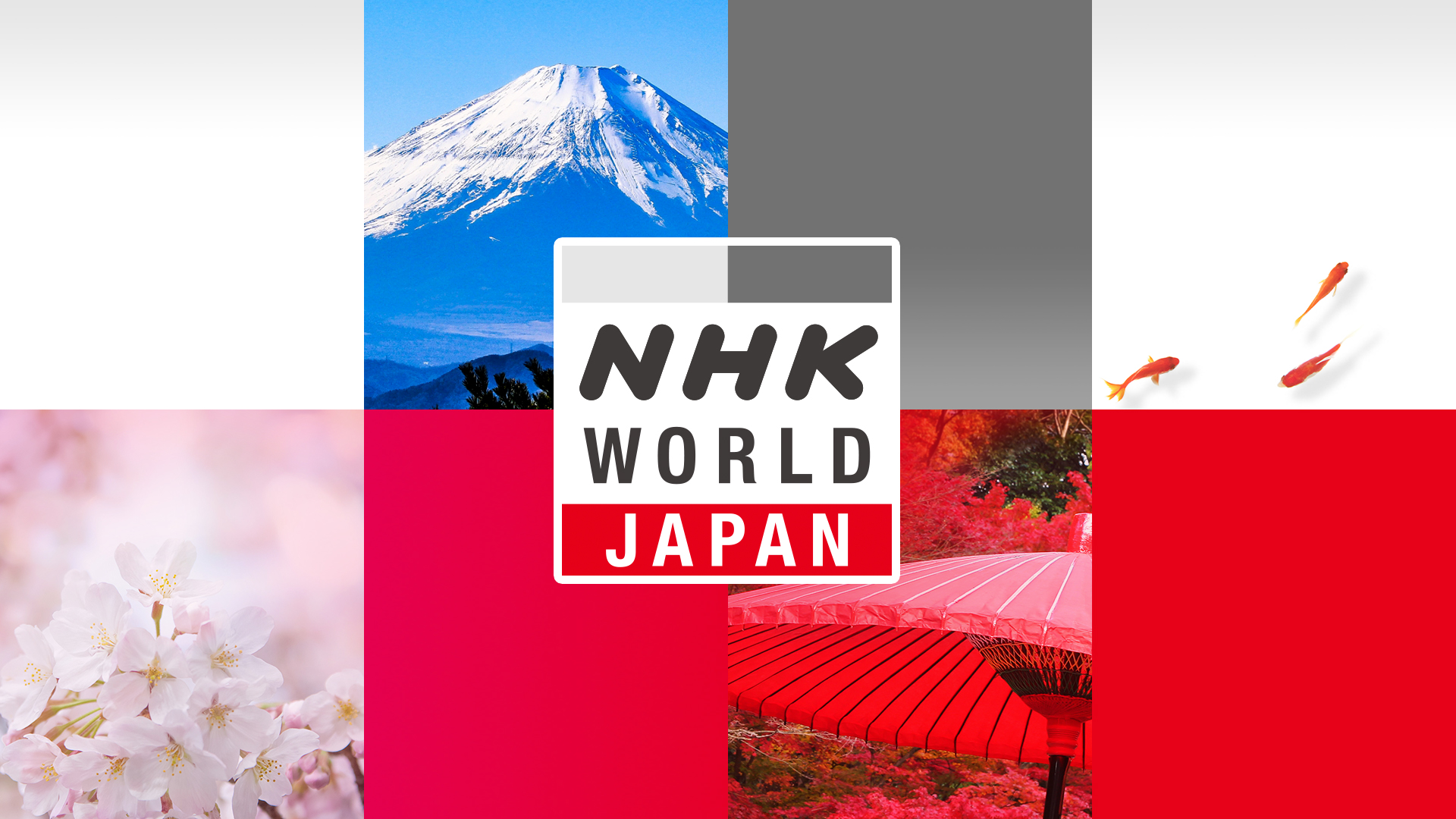 Cập nhật xã hội Nhật Bản cùng NHK WORLD - JAPAN