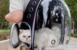 Top 10 mặt hàng bán chạy trên Tik Tok Shop