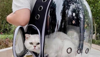 Top 10 mặt hàng bán chạy trên Tik Tok Shop