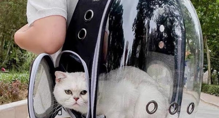 Top 10 mặt hàng bán chạy trên Tik Tok Shop