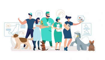 Review các dịch vụ chăm sóc thú cưng ở Thành phố Hồ Chí Minh: Đáng thử hay không?